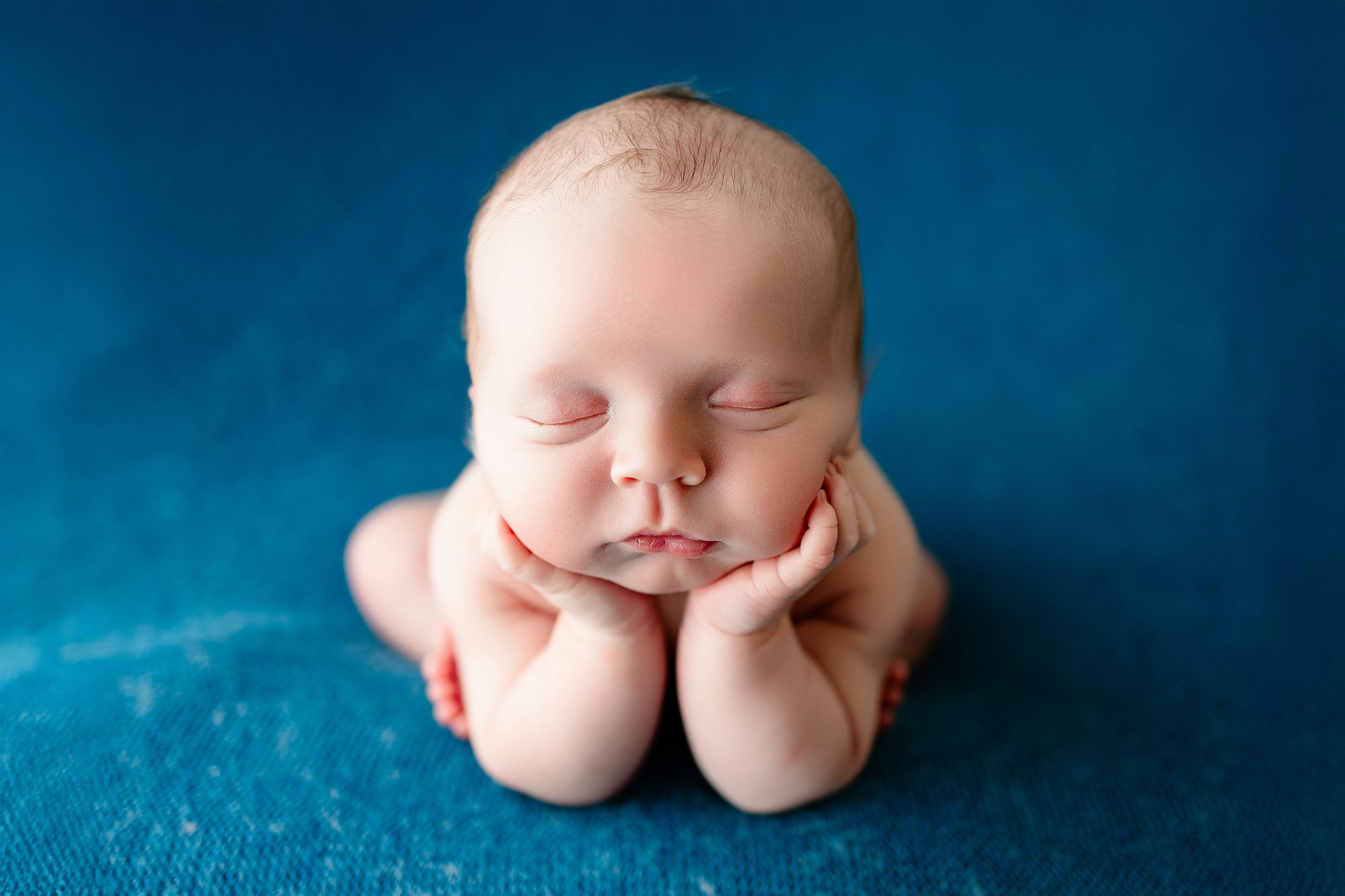 Cedarburg newborn session photographed in the studio